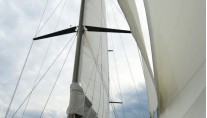Tiger - Foredeck 2